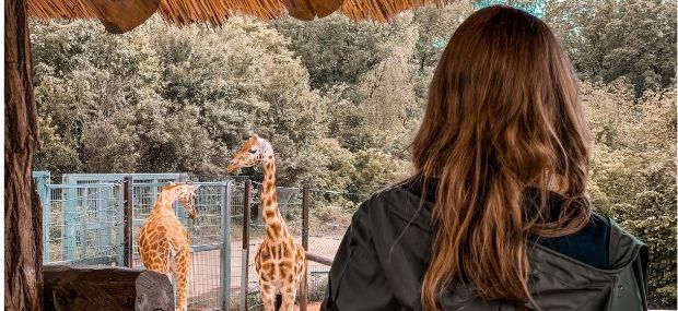 Students want to know how to become a zookeeper in Australia and the zookeeper's salary.